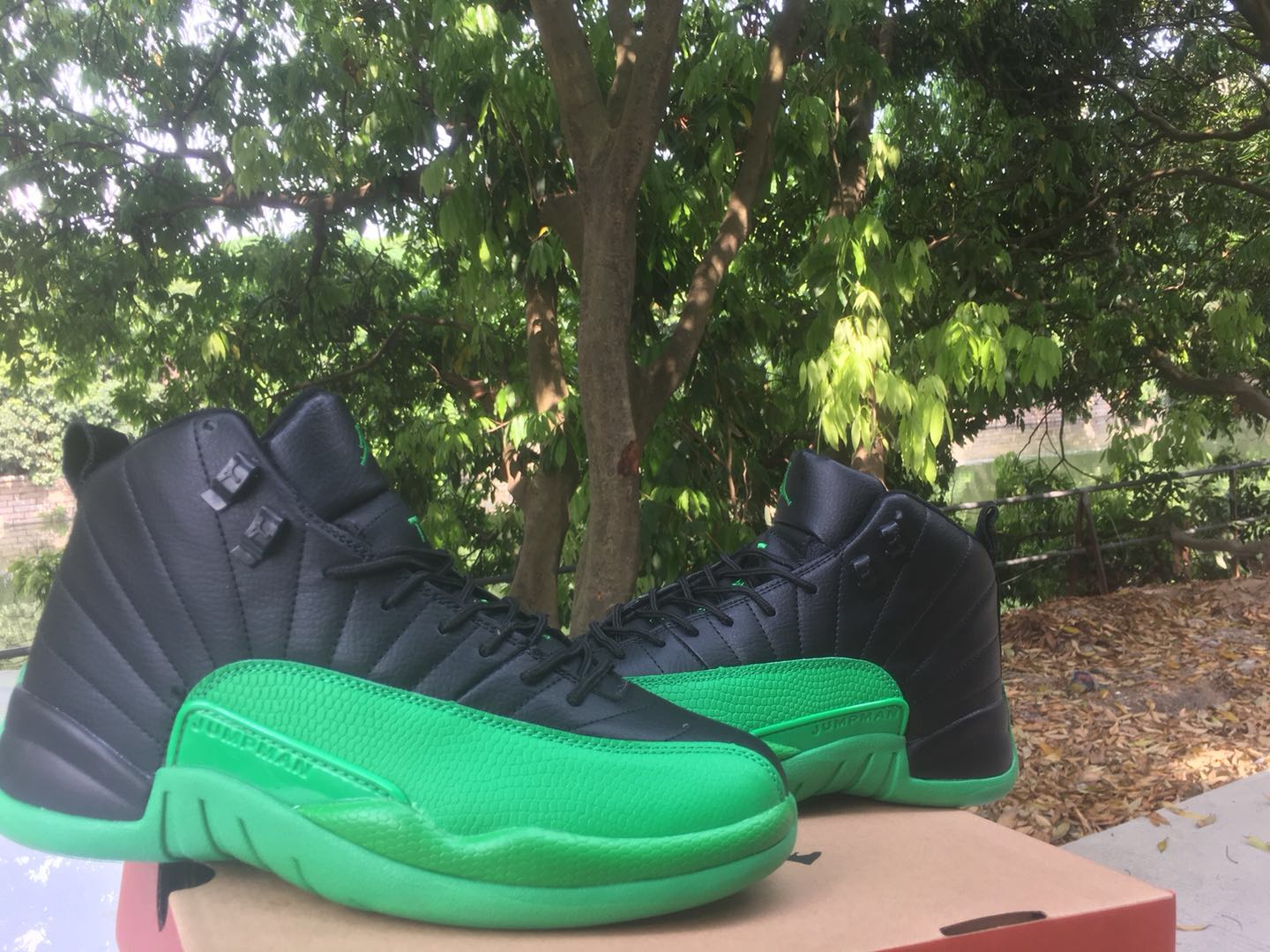Air Jordan 12 Black Green Shoes